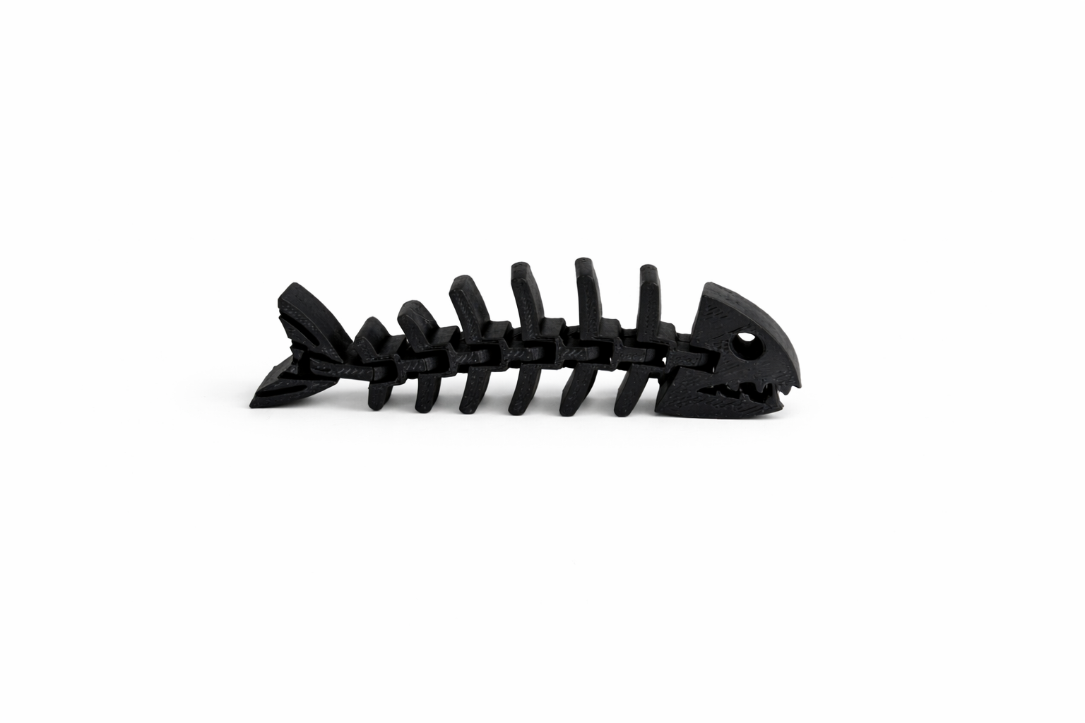 The Flexi-Fish Fidget Fossil